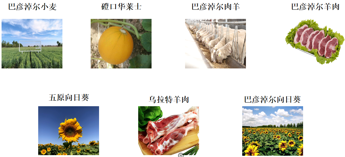 67df623f8d1894a56c24f0878d02c10.png
